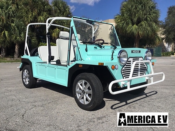 Mint Mokee 4 Passenger Golf Cart affordable golf cart rental, golf cart rent greensboro